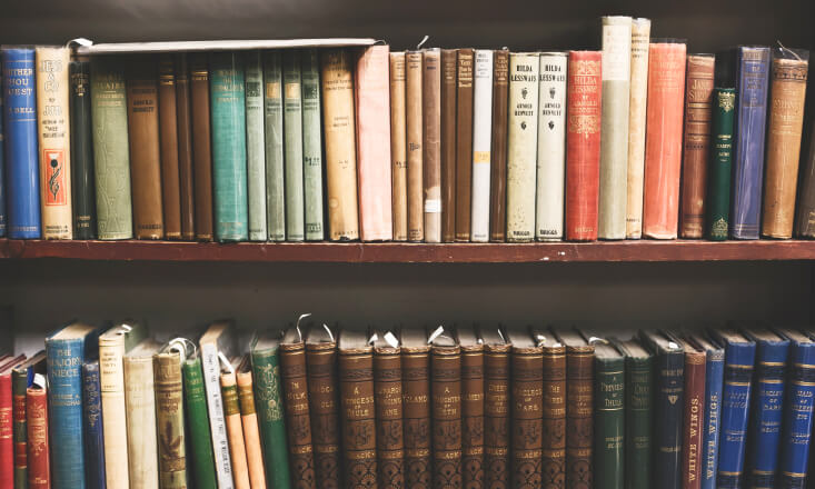 Various old books on shelves